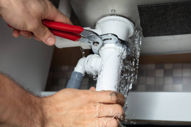 Best Water damage restoration near me  in Everett, WA