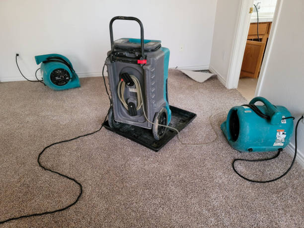 Best Ceiling water damage repair  in Everett, WA
