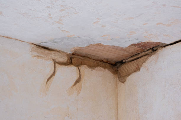 Best Sewage cleanup and water damage restoration  in Everett, WA