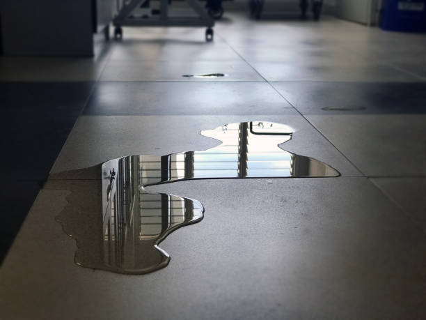 Best 24/7 water damage repair  in Everett, WA