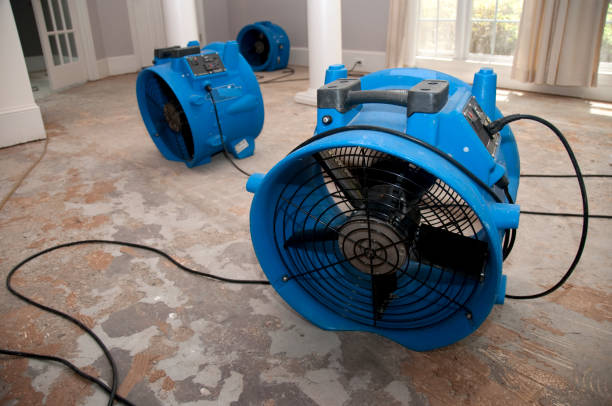 Best Water damage contractors near me  in Everett, WA