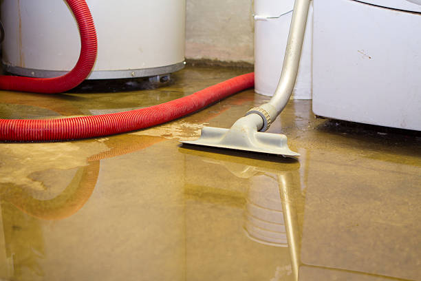 Best Flood restoration services  in Everett, WA