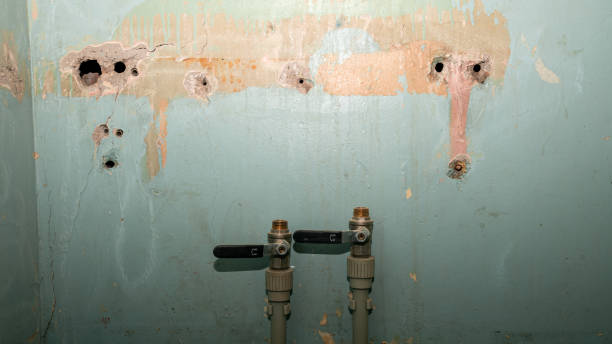 Best Water damage restoration company  in Everett, WA