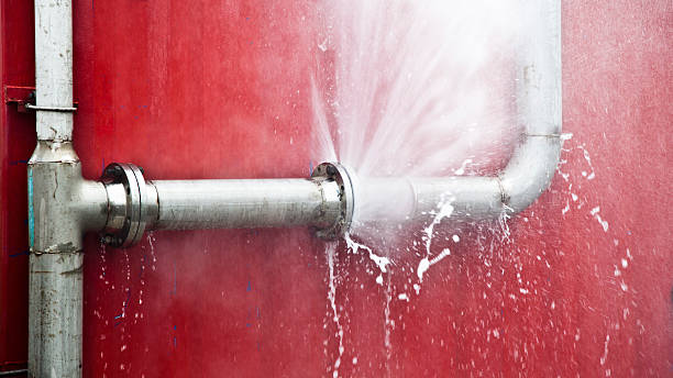 Best Water damage restoration near me  in Everett, WA